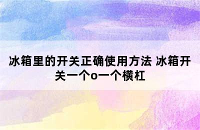 冰箱里的开关正确使用方法 冰箱开关一个o一个横杠